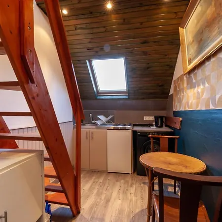 Petit Duplex En Centre Ville